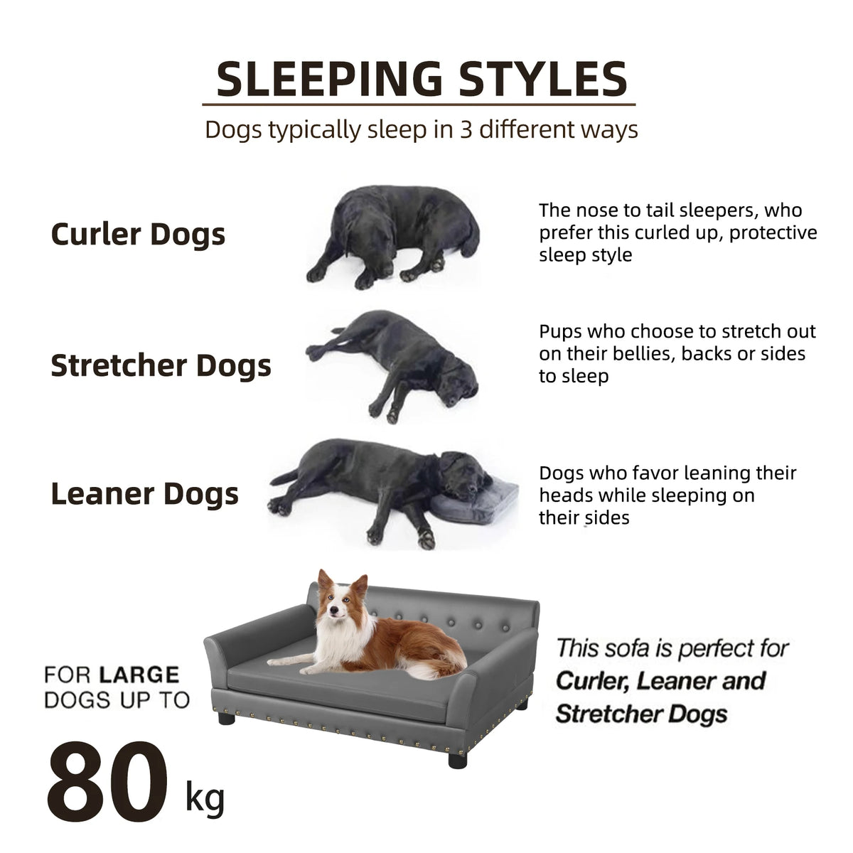 BINGOPAW Elevated Dog Bed Sofa Waterproof Microfiber Leather Cushion