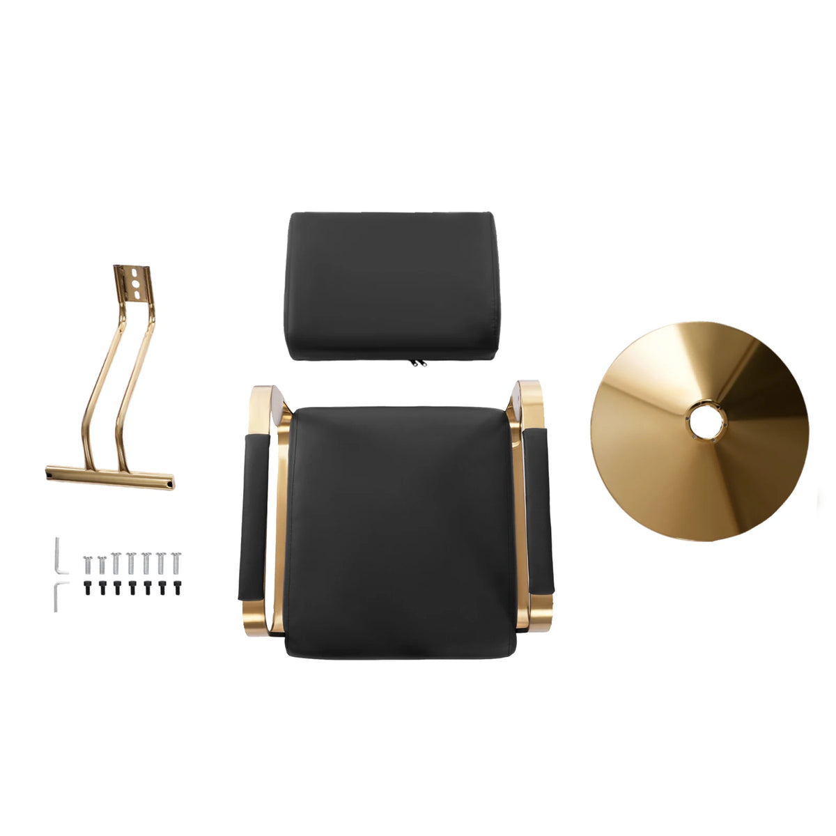 Hydraulic Rotating Salon Chair for Barbers and Stylists with Pump