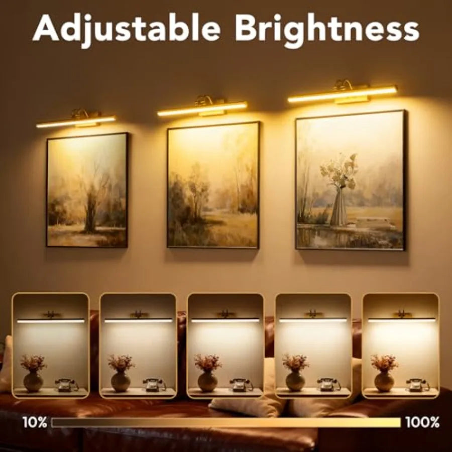 Picture Light, Picture Lights for Wall Cordless, 20inch Picture Lights with Timer and Dimmable, 5000mAh Battery Wall Lights for