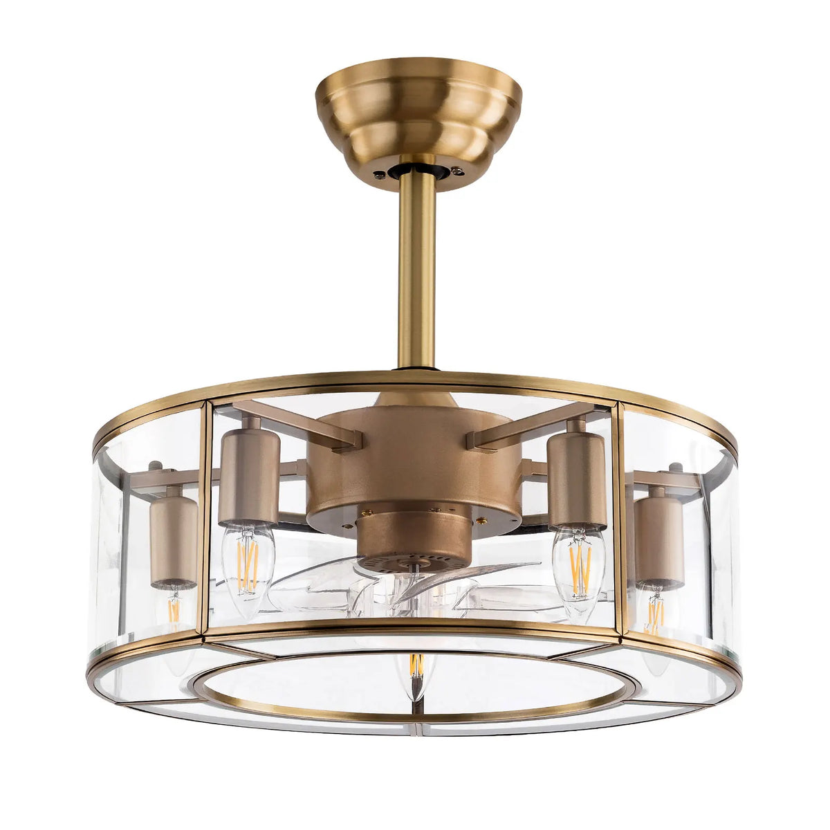 Bymaocar 2-In-1 Caged Ceiling Fan Light for Living Rooms