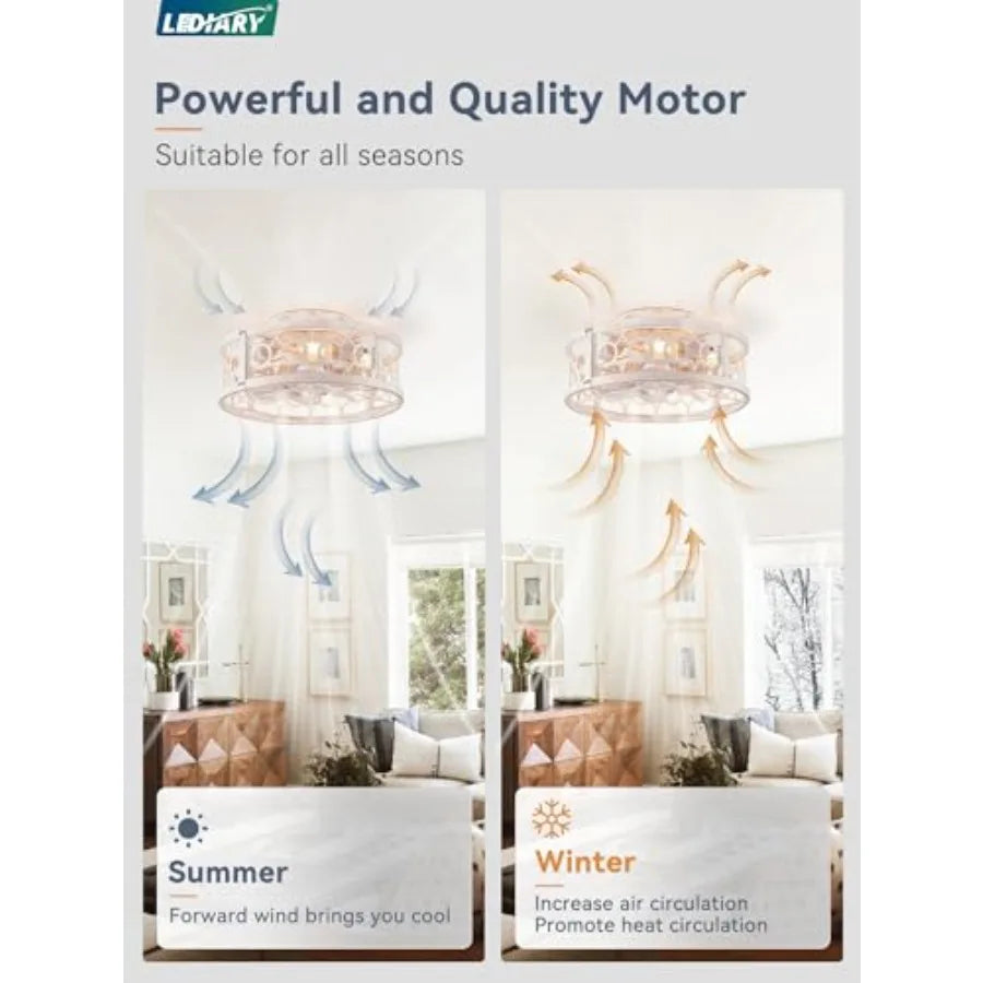 Caged Ceilg Fan with Light and Remote, Small Low Profile Ceilg Fans with Lights, 6 Speed and Reversible Farmhouse Flush Mount C
