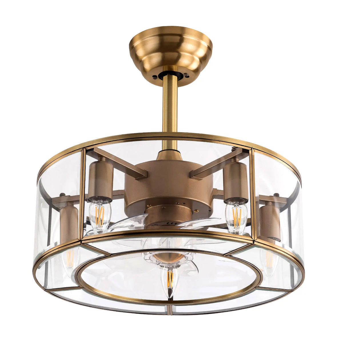 Bymaocar 2-In-1 Caged Ceiling Fan Light for Living Rooms