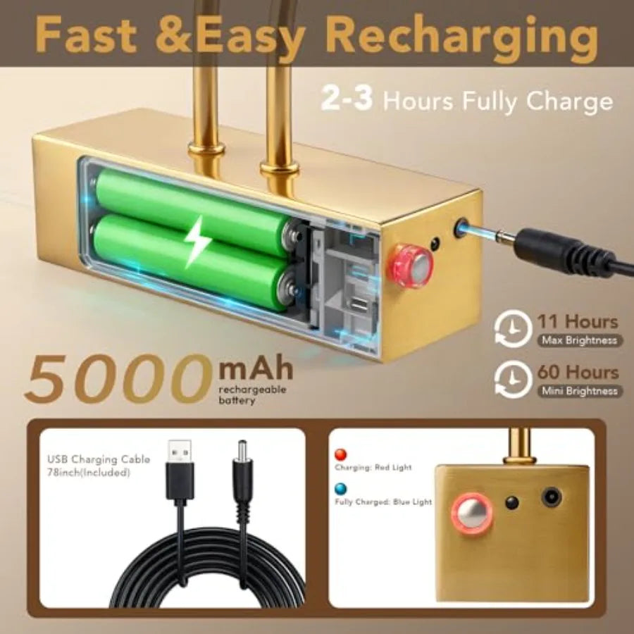 Picture Light, Picture Lights for Wall Cordless, 20inch Picture Lights with Timer and Dimmable, 5000mAh Battery Wall Lights for