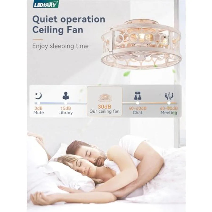 Caged Ceilg Fan with Light and Remote, Small Low Profile Ceilg Fans with Lights, 6 Speed and Reversible Farmhouse Flush Mount C