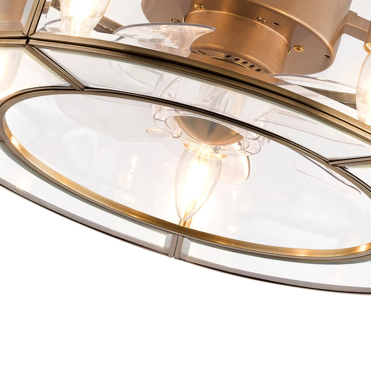 Bymaocar 2-In-1 Caged Ceiling Fan Light for Living Rooms