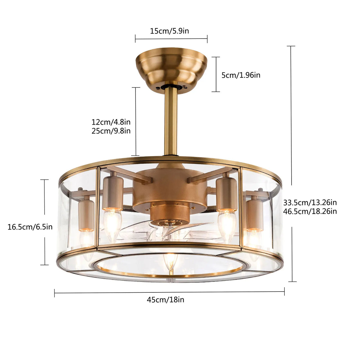 Bymaocar 2-In-1 Caged Ceiling Fan Light for Living Rooms
