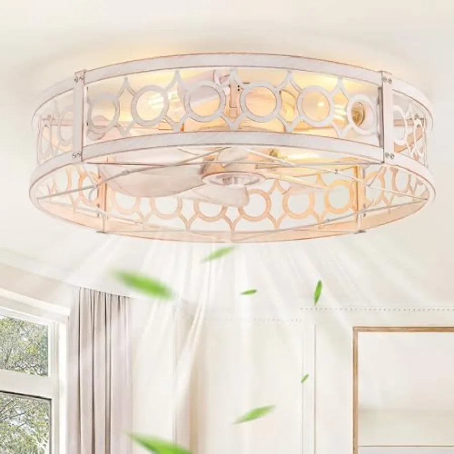 Caged Ceilg Fan with Light and Remote, Small Low Profile Ceilg Fans with Lights, 6 Speed and Reversible Farmhouse Flush Mount C
