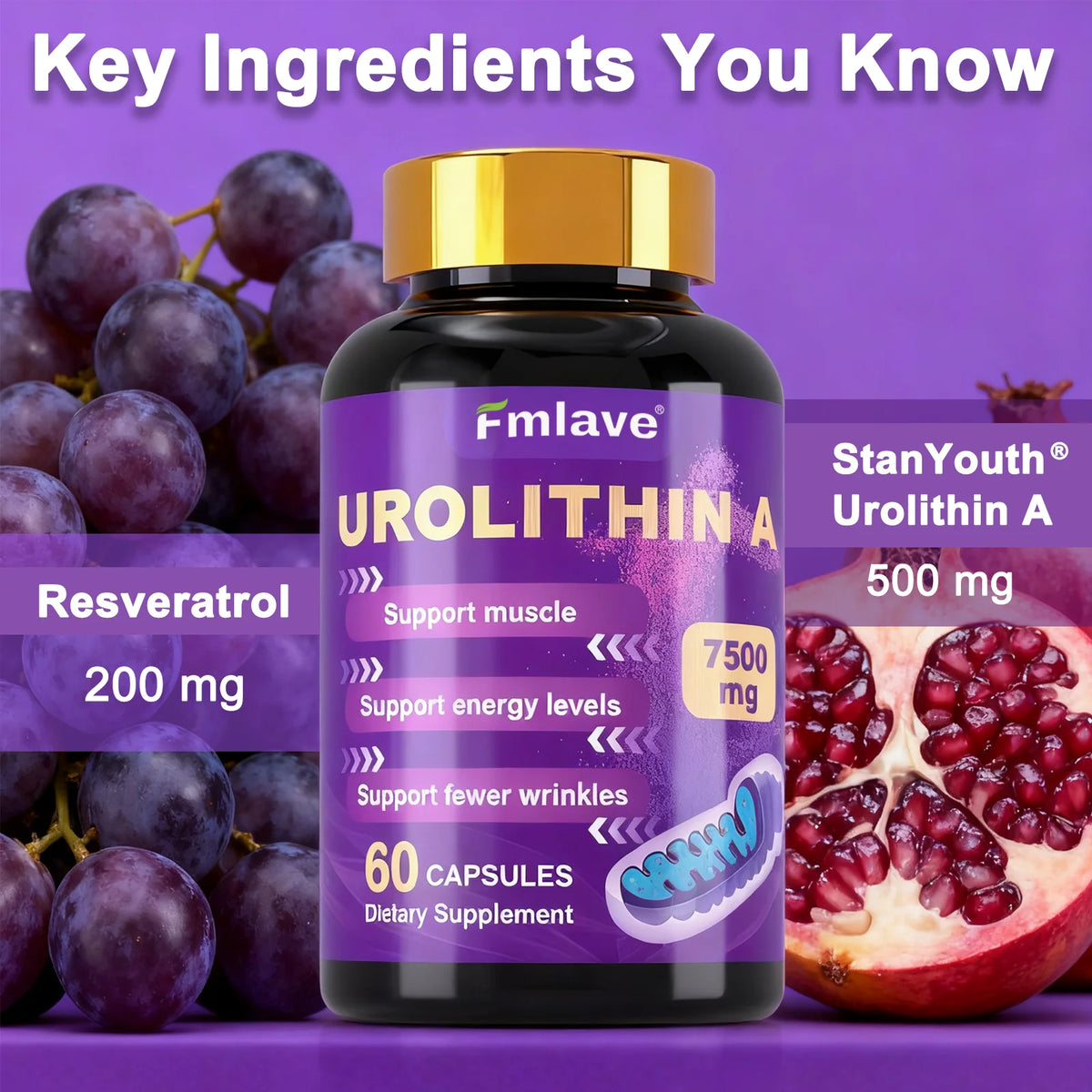FMLAVE Urolithin A Supplement With Trans Resveratrol And Ubiquinol 12 In 1