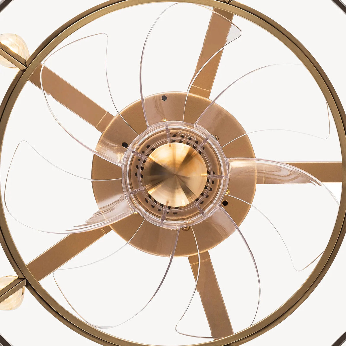 Bymaocar 2-In-1 Caged Ceiling Fan Light for Living Rooms